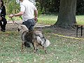img 170